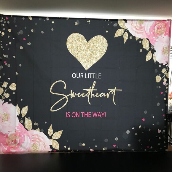 Backdrop for gender reveal or baby shower - Picture 1 of 1